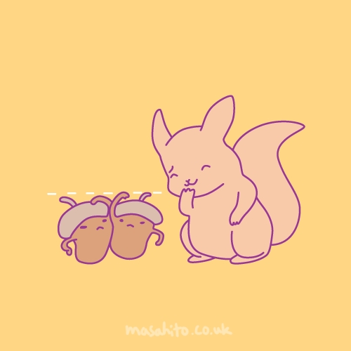 acorns comparing their heights